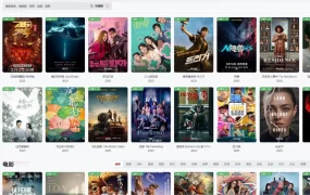 4KTOP.永久会员.4K蓝光原盘影视.115网盘.夸克网盘资源下载