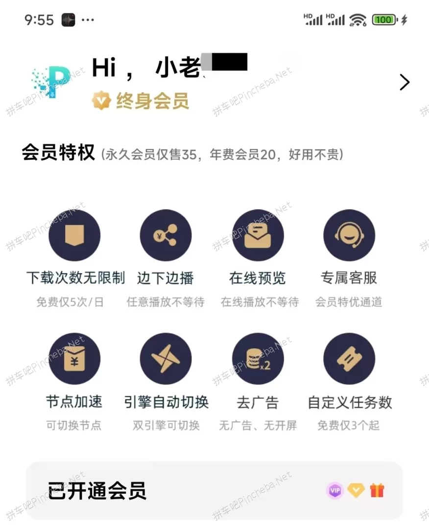 p2p下载器plus.永久会员.极速下载冷门磁力资源.平替迅雷或其他磁力下载器的图片(2)